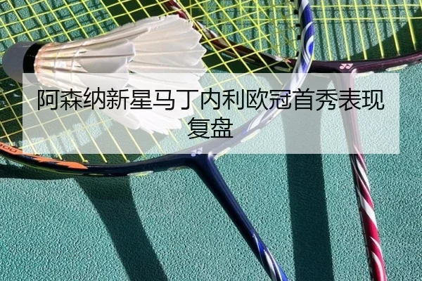 阿森纳新星马丁内利欧冠首秀表现复盘
